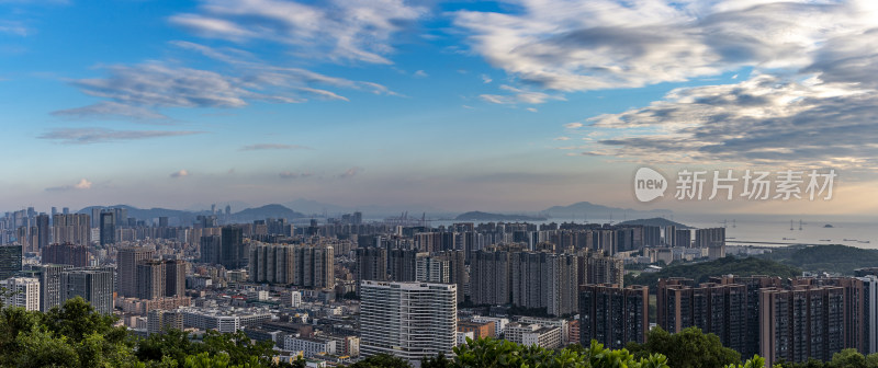 傍晚时分的深圳前海湾全景图