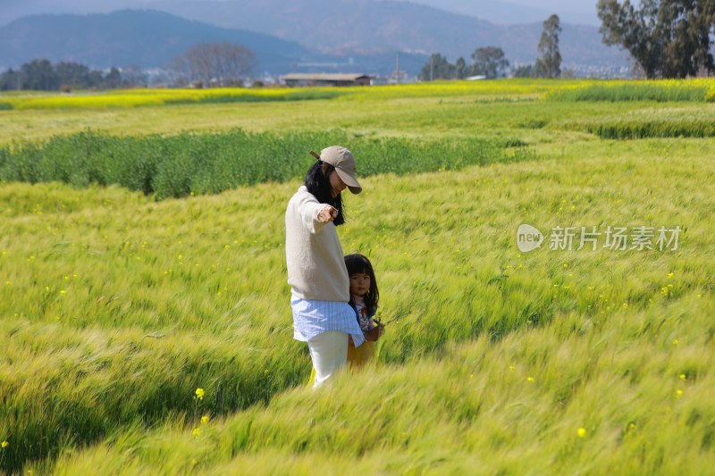 母女漫步麦田享受休闲时光