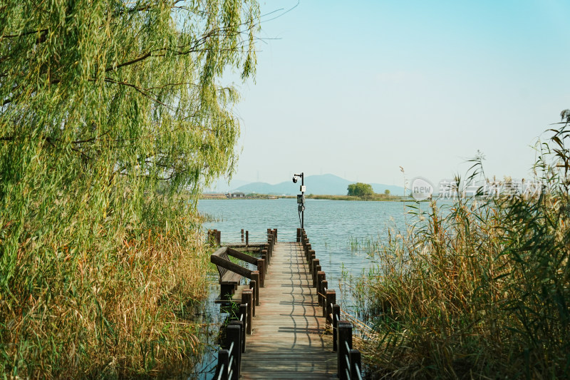 太湖湖滨国家湿地木栈道