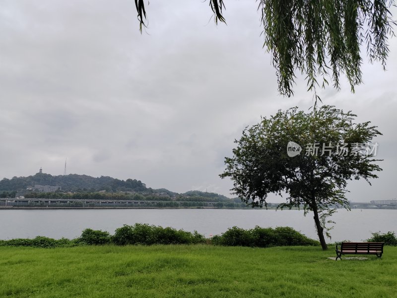 水边草地长椅和树木的自然风景