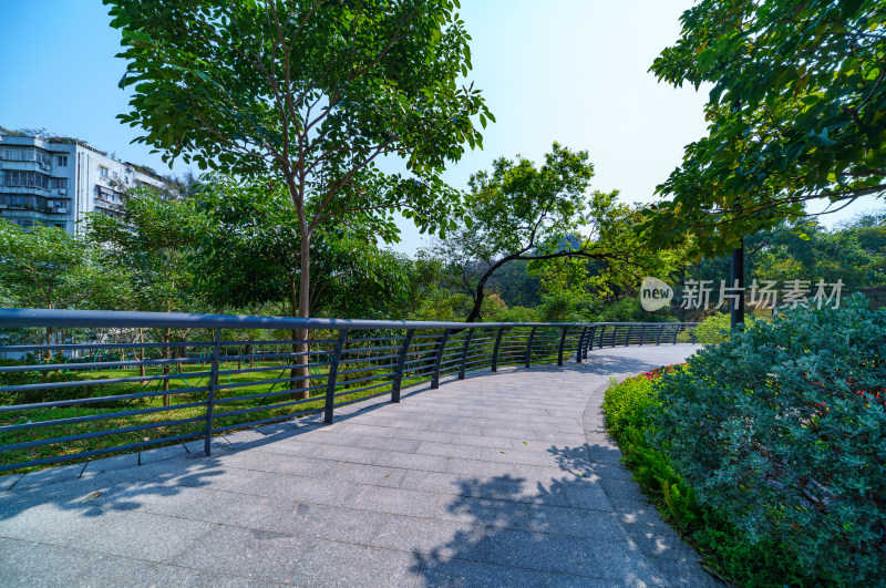 广州雕塑公园园林景观与林荫公路