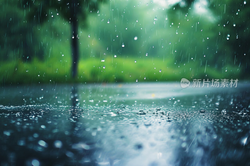 自然风景植物背景雨水