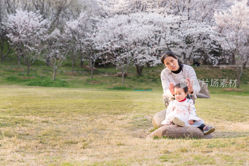 快乐年轻亚洲母亲带可爱女儿看美丽樱花