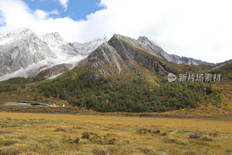 中国四川甘孜稻城亚丁洛绒牛场秋景