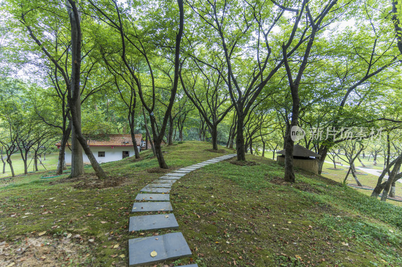 武汉青山公园风景