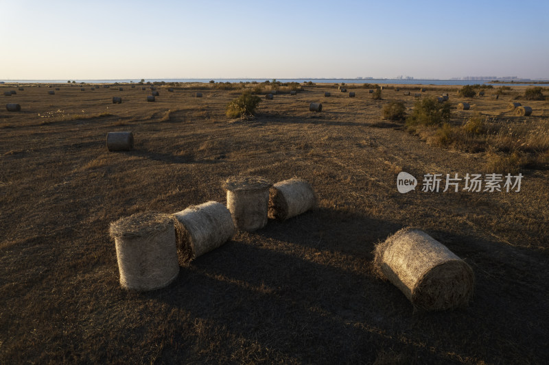 秋天天津团泊湖稻田草垛农业落日晚霞风光