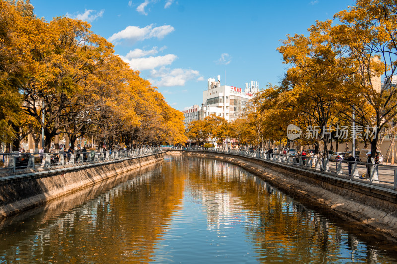 昆明城市中大观河两岸树木金黄的河道风景