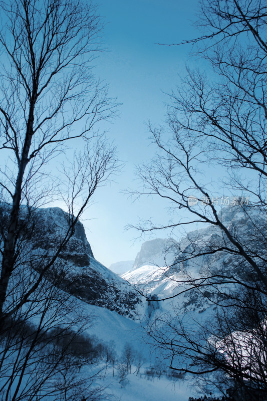 长白山瀑布树枝剪影