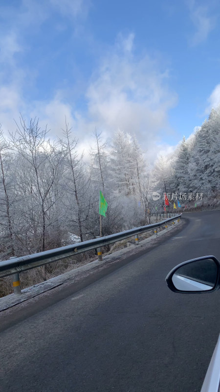 冬日积雪覆盖的林间道路