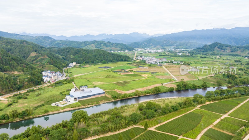 航拍武夷山绿色农田与茶园