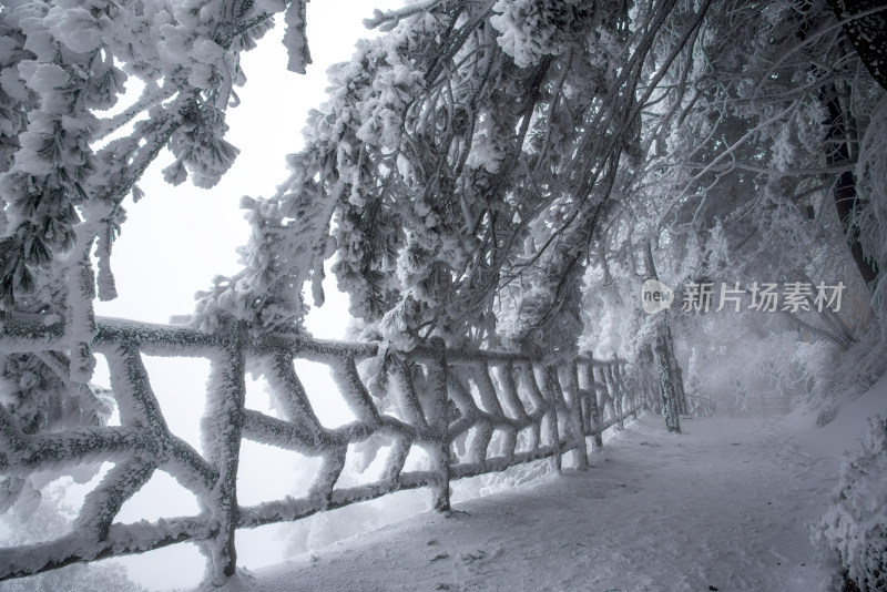 寒冷冬季景区雪后栈道