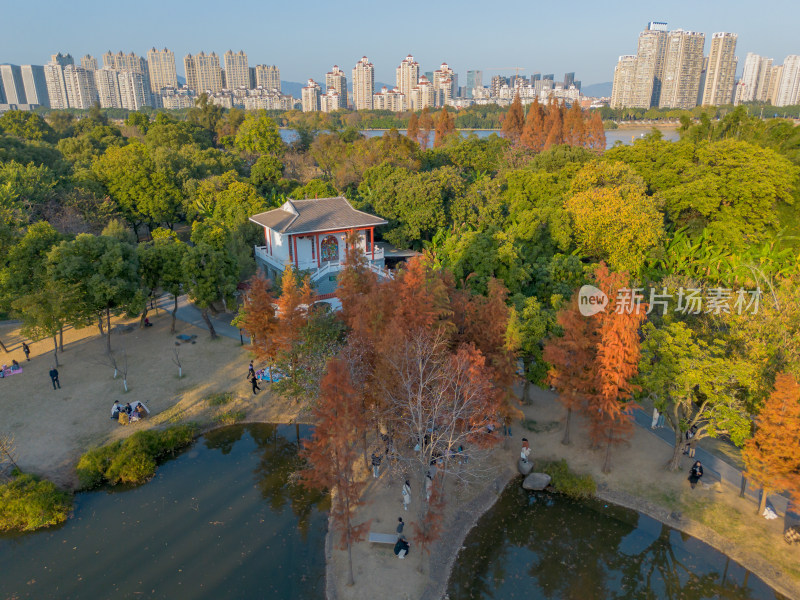 福州城市中色彩斑斓的树林全景