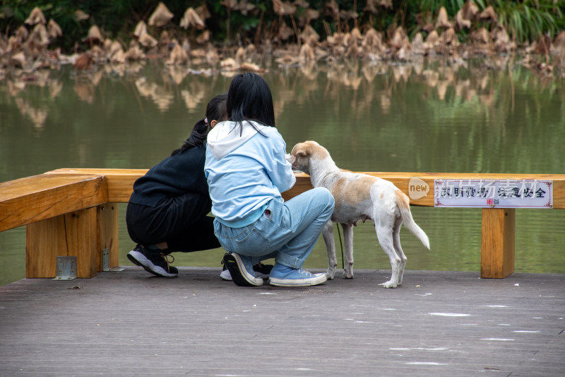 两位女孩和小狗玩耍的场景