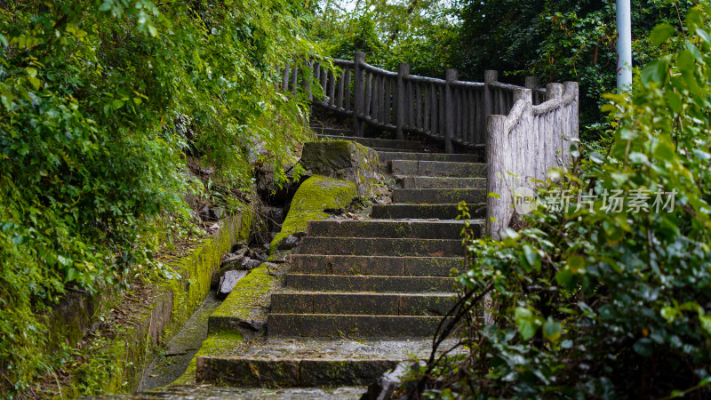 深圳盐田半山公园带东湾三路登山道