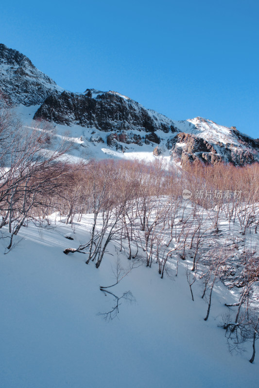 长白山雪山风景