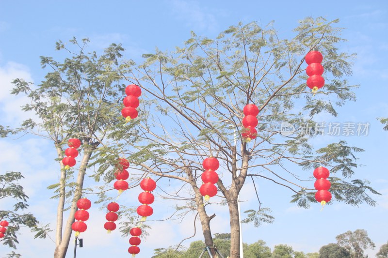 广东省东莞市企石镇东清湖湿地公园