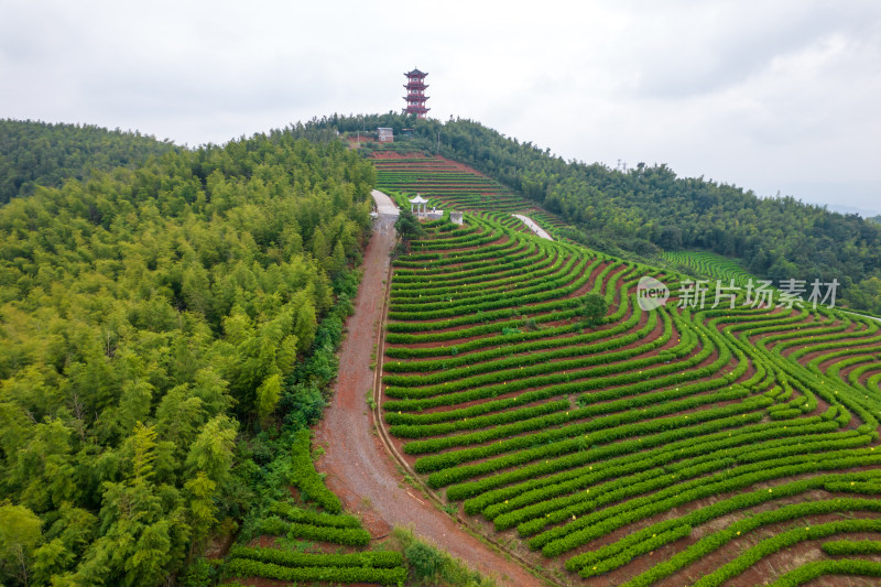 湖南省耒阳市蔡伦竹海风景区航拍