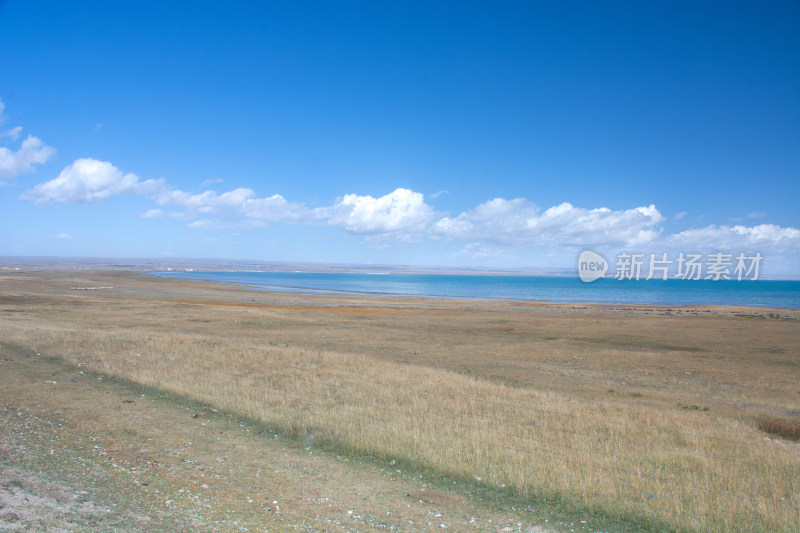 秋天晴朗的青海湖高原牧场草原自然风光