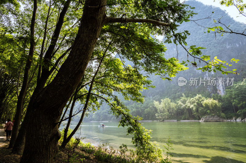 阳光下阳朔漓江河岸边的树和河里漂流的竹筏