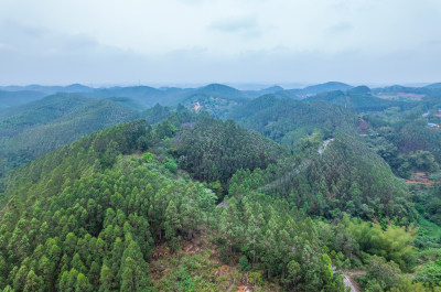 广西南宁乡村丘陵青山森林航拍自然风光