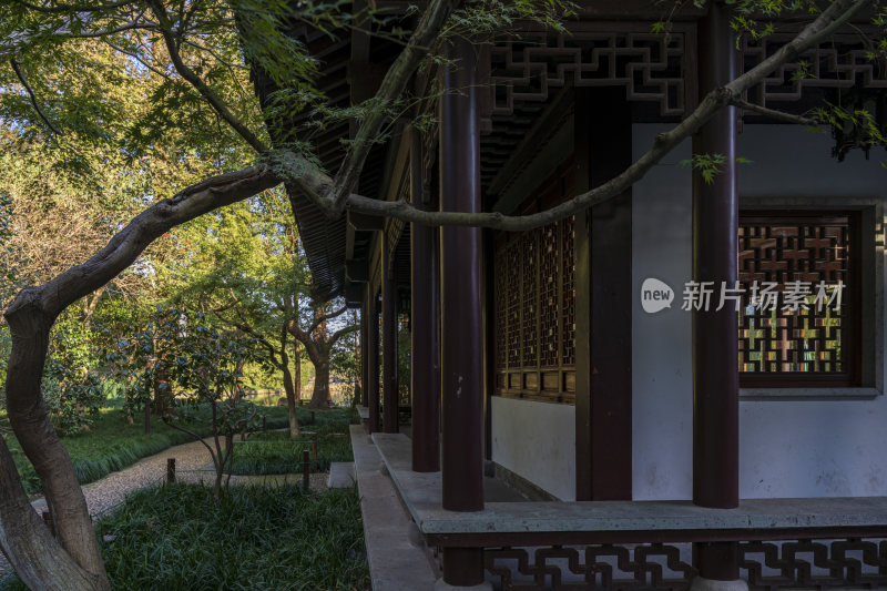 杭州西湖风景区曲院风荷风景