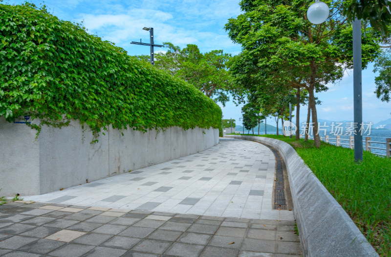 香港大埔墟滨海公园休闲道路