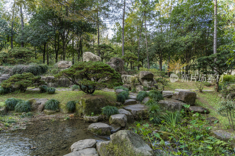 杭州西子湖畔杭州花圃风景