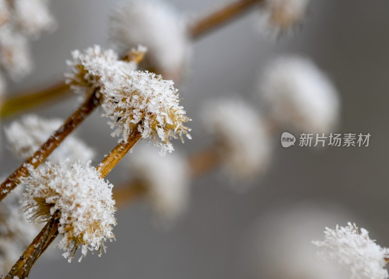 重庆酉阳：龙头山上的第一场雪