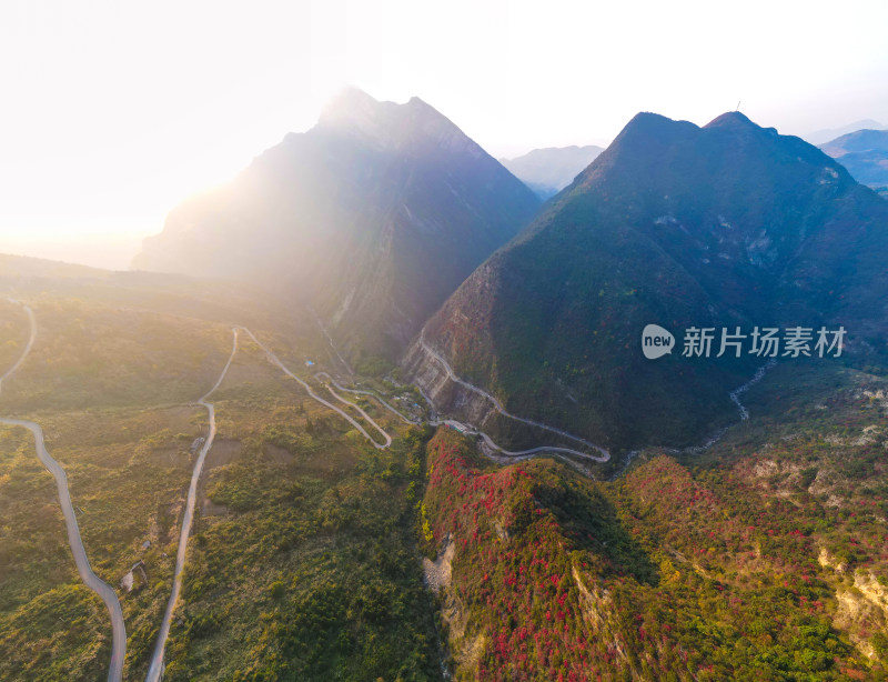 三峡红叶