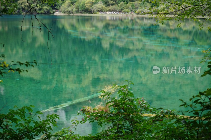 四川阿坝藏族羌族自治州九寨沟景区