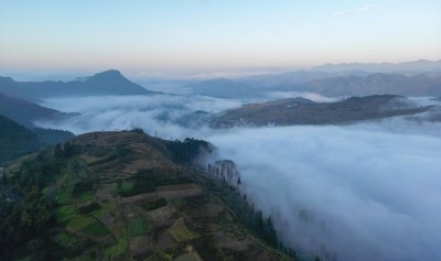 重庆酉阳：雾漫青山白茫茫