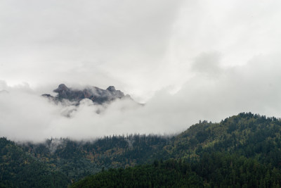 云雾中的森林山峰虎头山