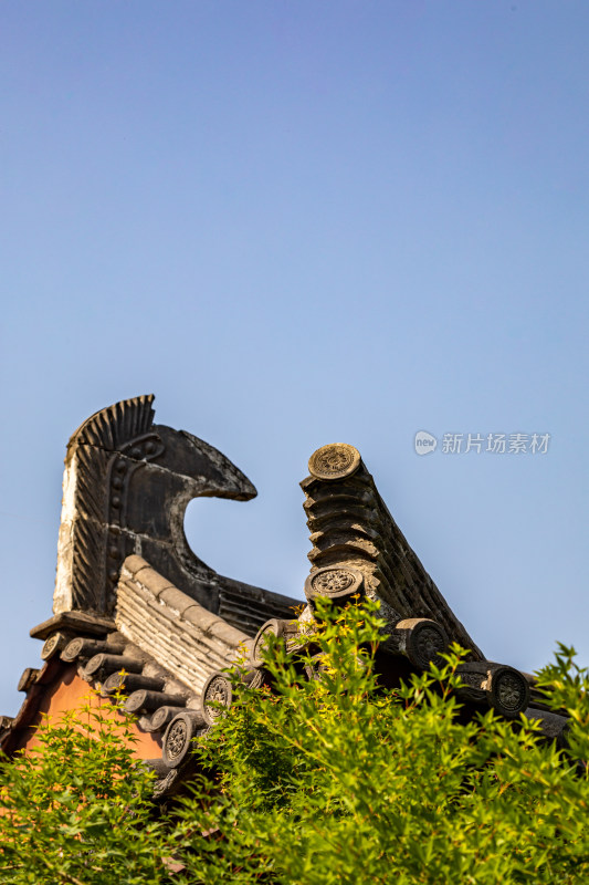 陕西西安青龙寺遗址乐游原景点景观