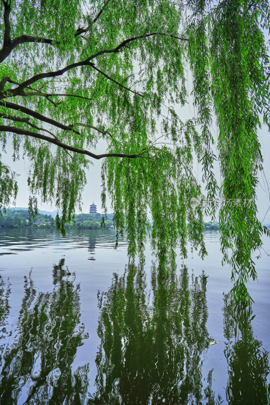 浙江杭州西湖景区