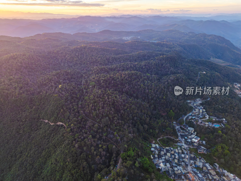 航拍被森林环绕的景迈山村庄全景