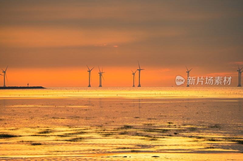 海滩海边日出朝霞唯美天空之镜火烧云