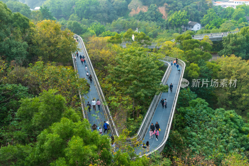 福州福道山林中蜿蜒的观景步道