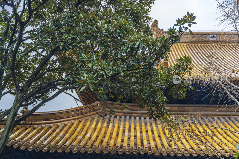 浙江普陀山普济寺禅院建筑