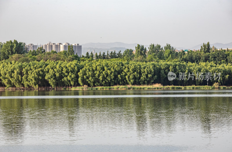 河南三门峡陕州公园天鹅湖景点景观