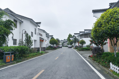 乡村街道两旁的民居景象