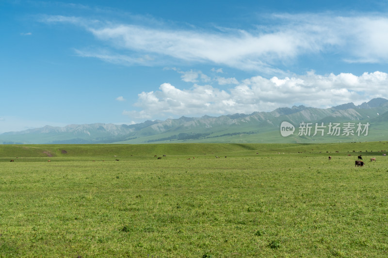 新疆伊犁那拉提景区