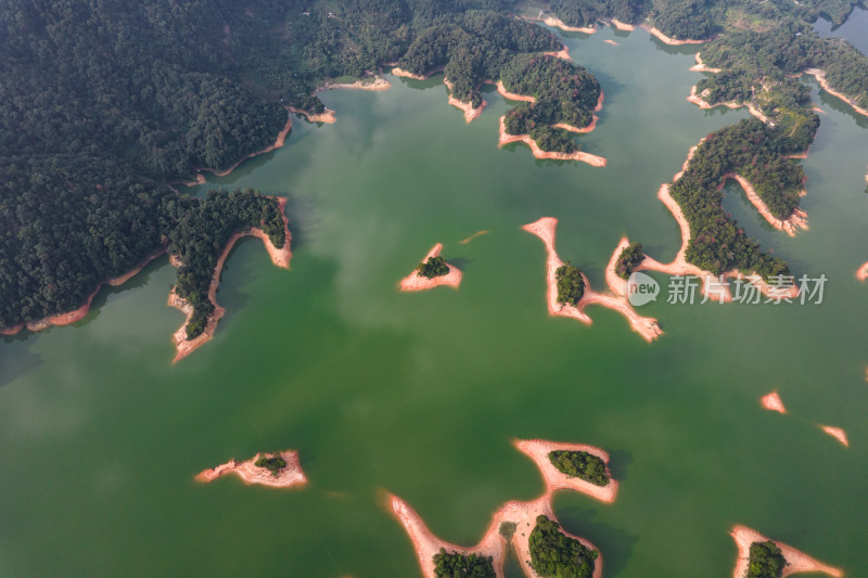 广州流溪河国家森林公园