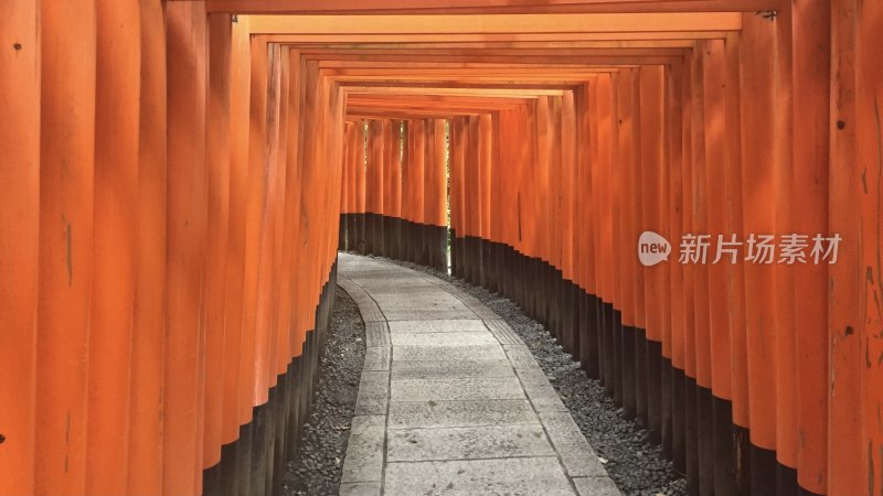 日本鸟居通道风景