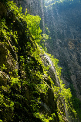 山上的风景