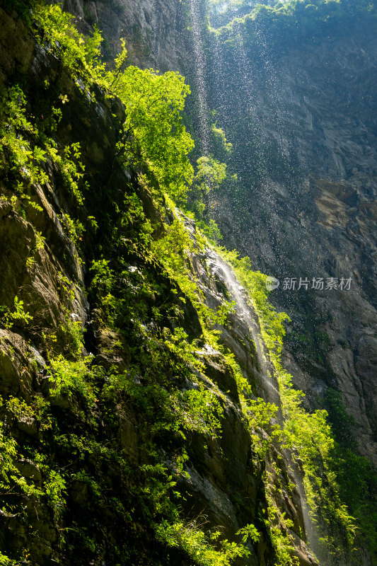 山上的风景