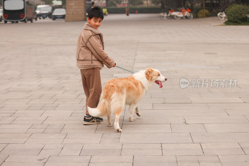 一个小男孩牵着他的宠物边境牧羊犬