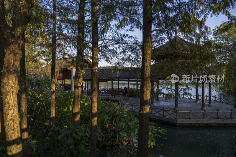 杭州西湖茅家埠江南水乡风景