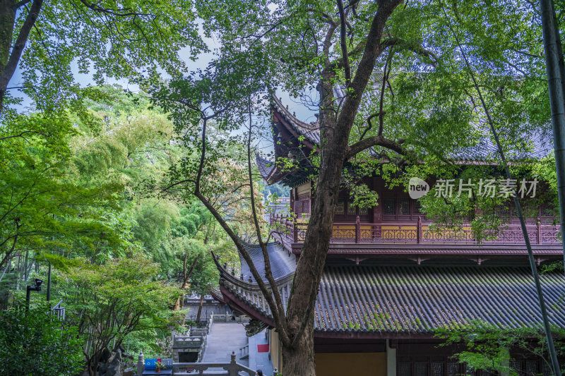 杭州西湖飞来峰灵隐寺千年古刹古建筑