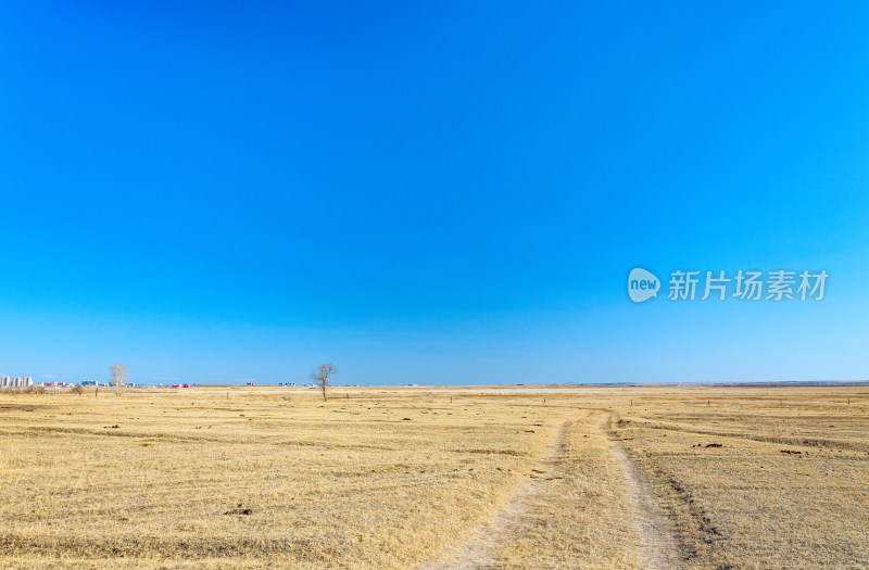 内蒙古呼伦贝尔海拉尔草原黄色枯草秋景