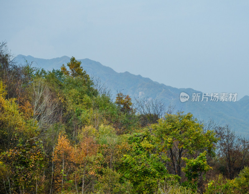 河南洛阳白云山景区秋色